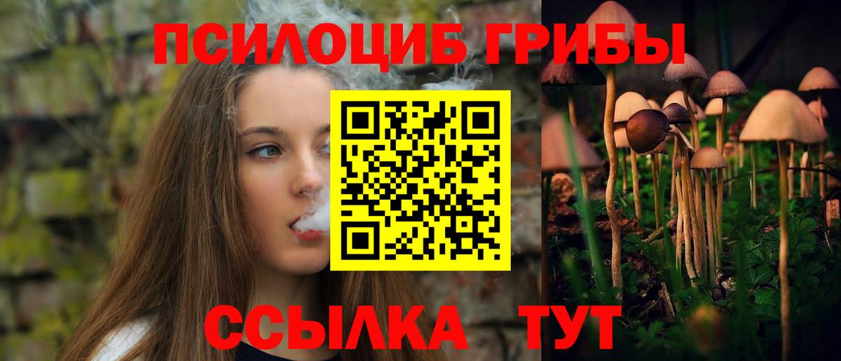 Псилоцибиновые грибы прущие грибы Лыткарино