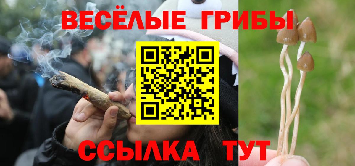 Галлюциногенные грибы GOLDEN TEACHER  Вход с VPN  Лыткарино 
